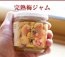 梅干し,梅,青梅,梅肉エキス,紀州南高梅干通販の専門店 - 深見梅店 - 乾燥梅肉 